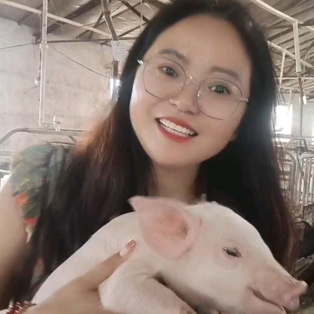 陈敏养猪