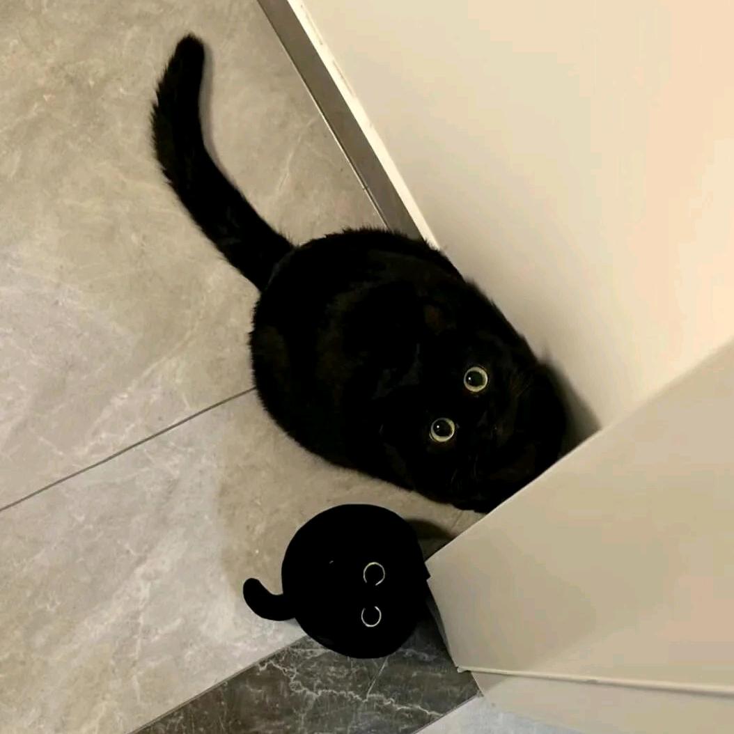 一只喜喜（鸣潮）