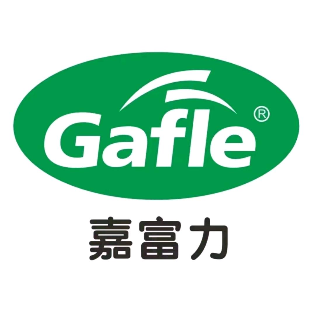 劲擎汽车科技
