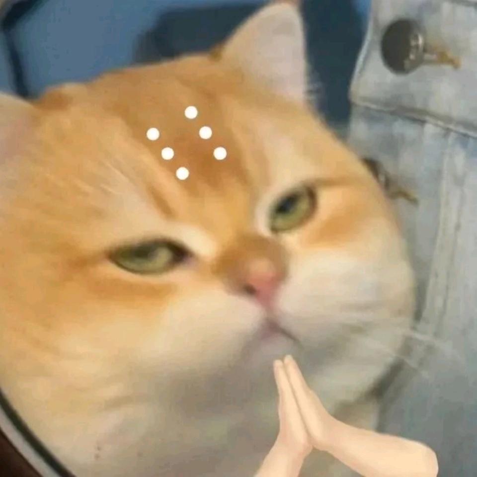 苦喵