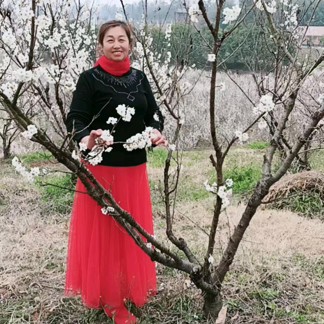 人生如梦（郭姐）