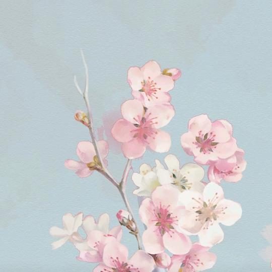 桃源—