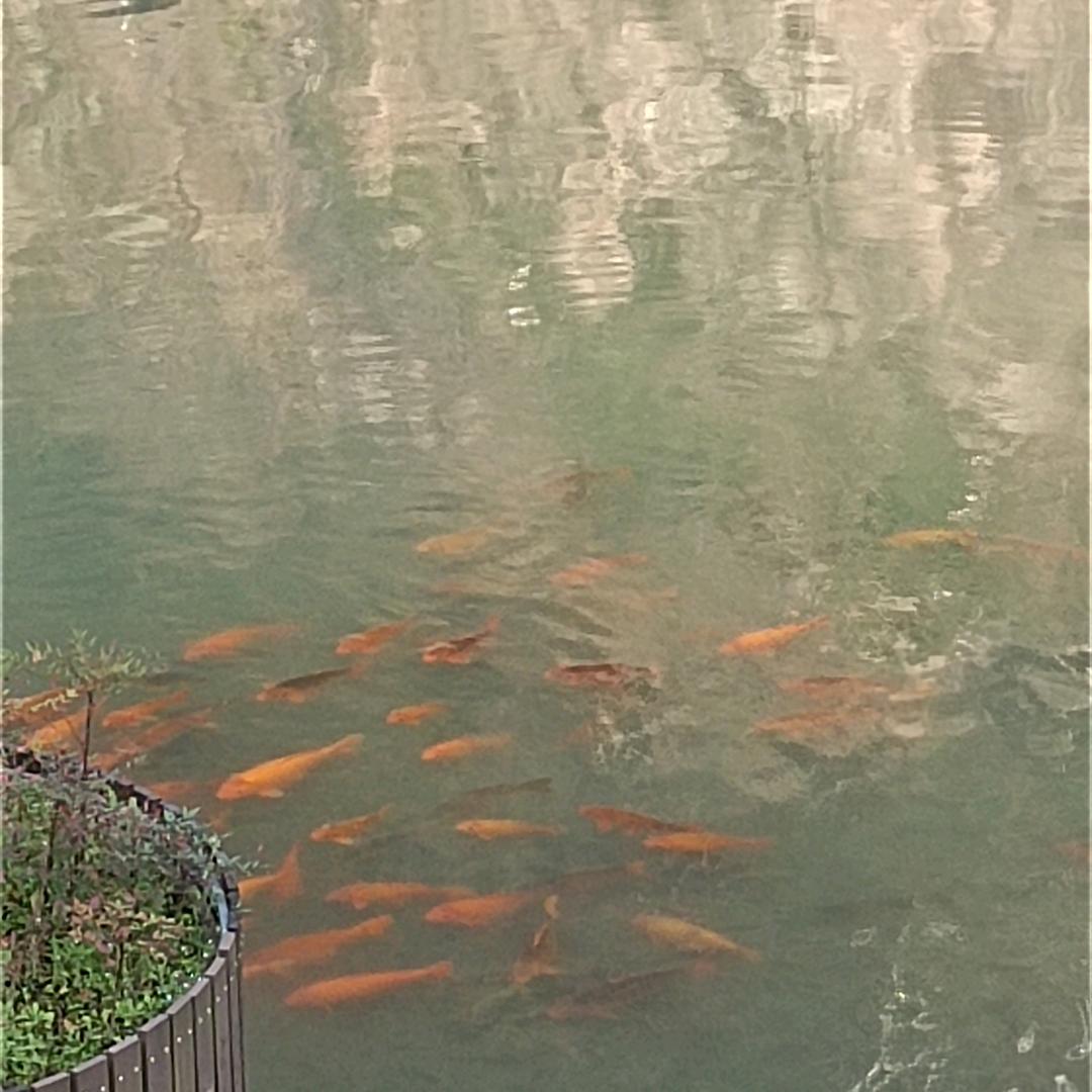 平常心
