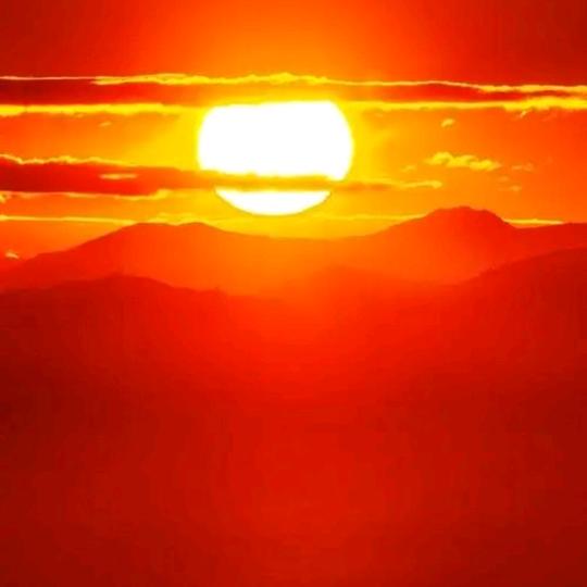 乖乖女翩若惊鸿