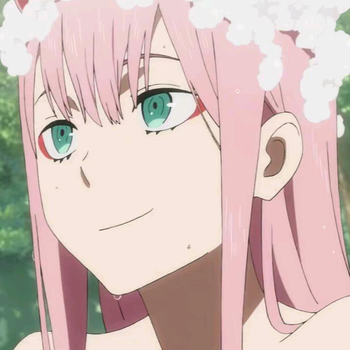 唐猫