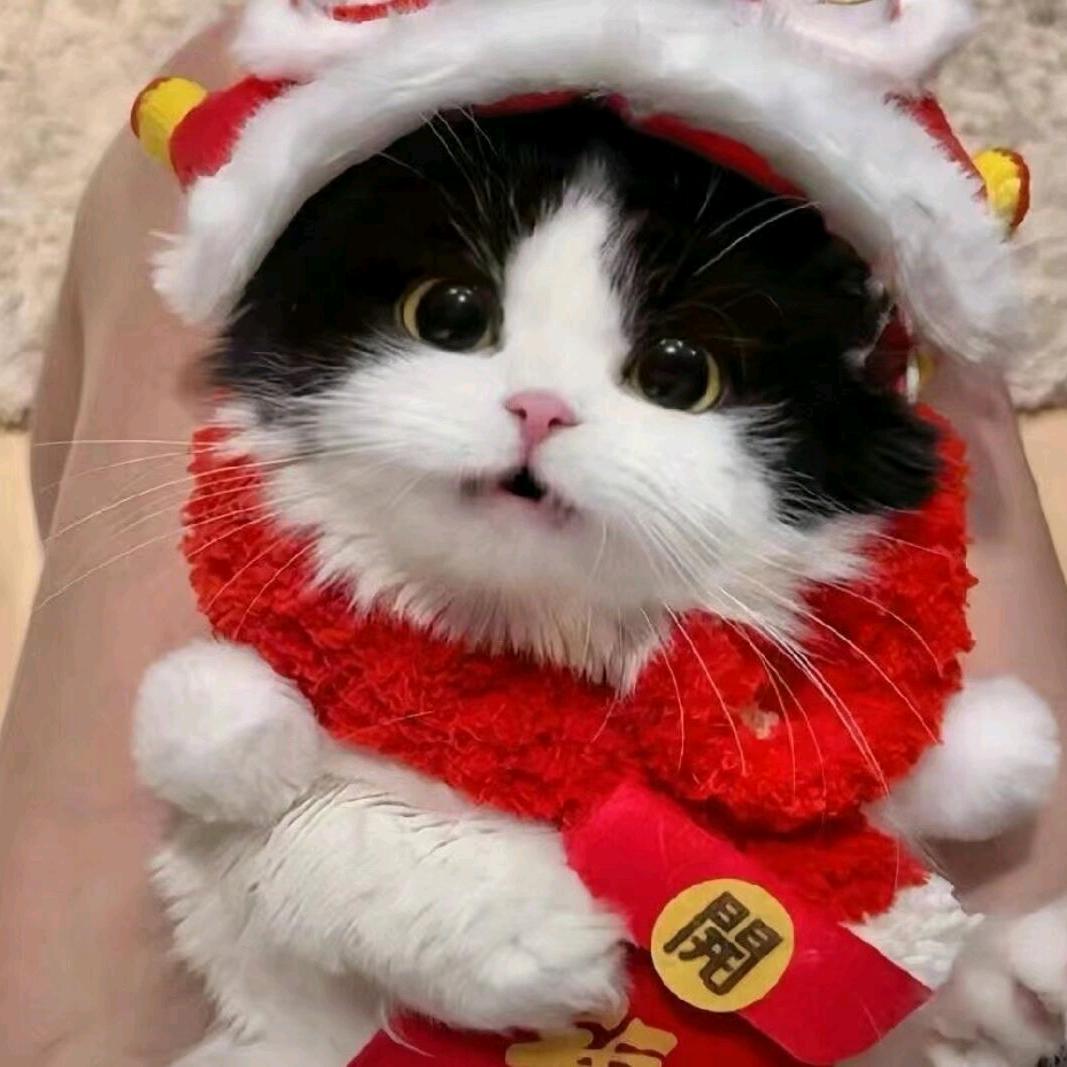 云云