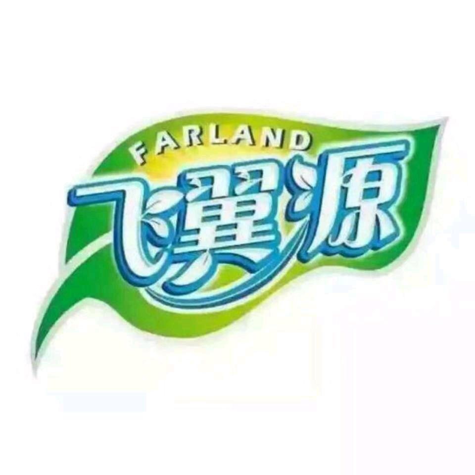 飞翼有机蔬菜包子