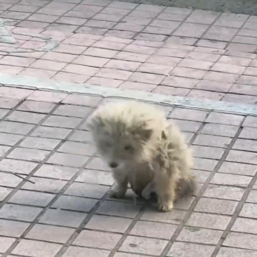 让世界充满爱❤️