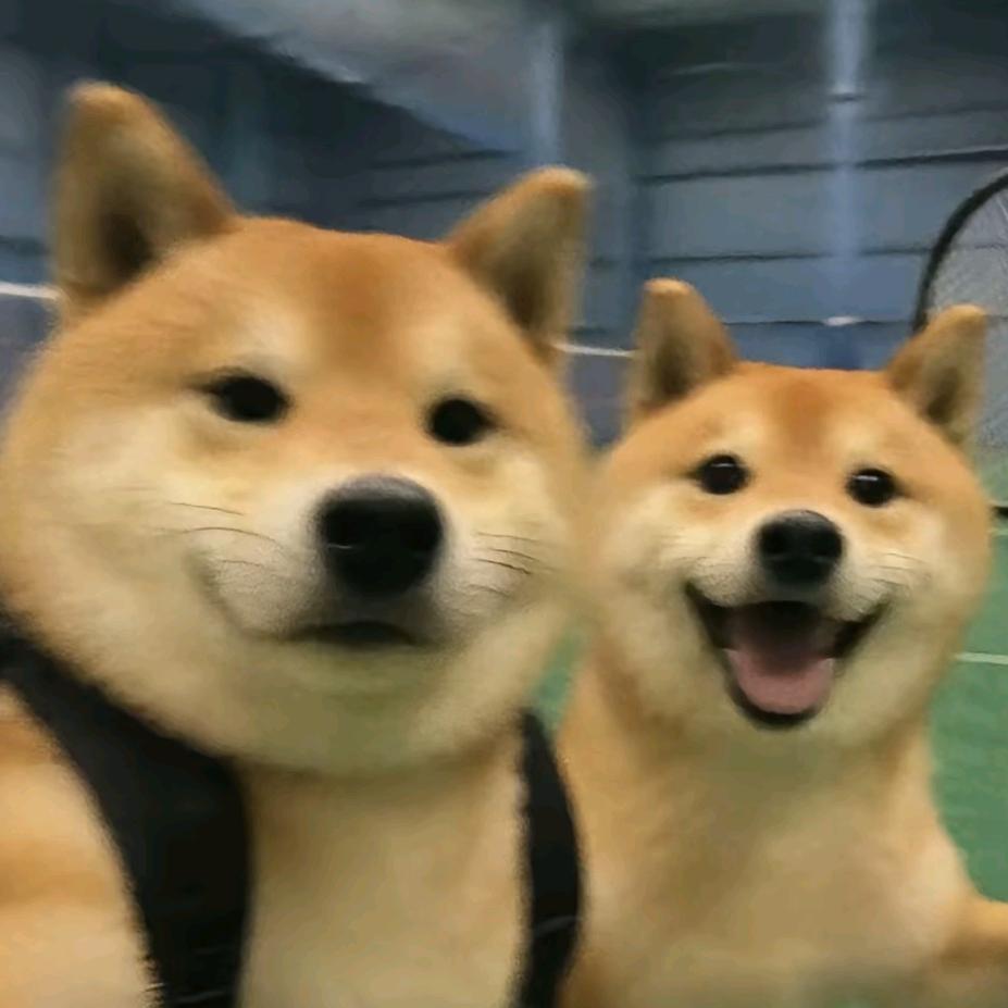 我该如何与你相遇