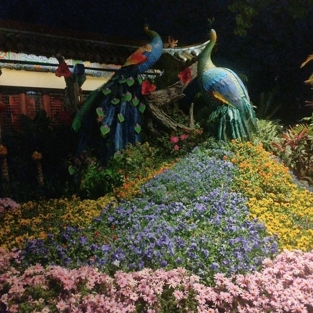 回不到从前