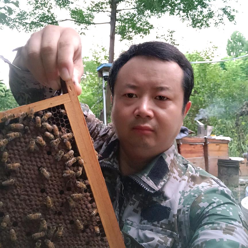 千亩湖养蜂人（出售蜂王）