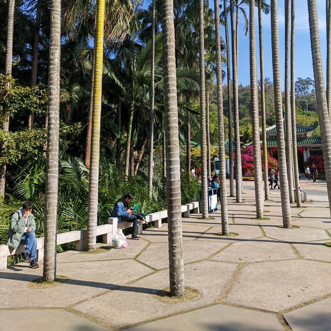 端庄雅居