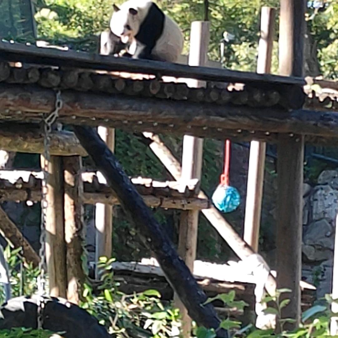 年禾创意箱包严选店