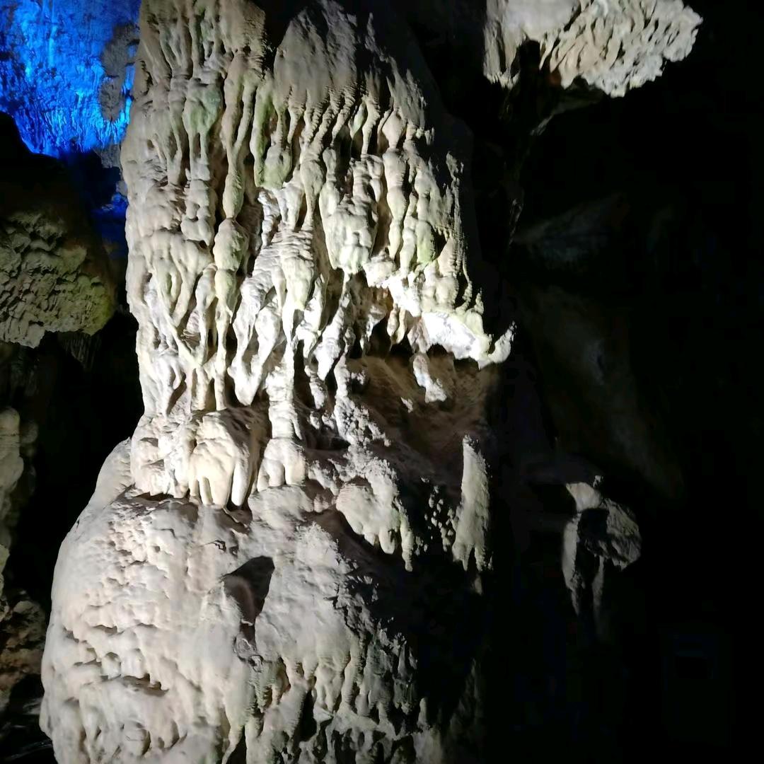 用户48598418张小红，我真的是