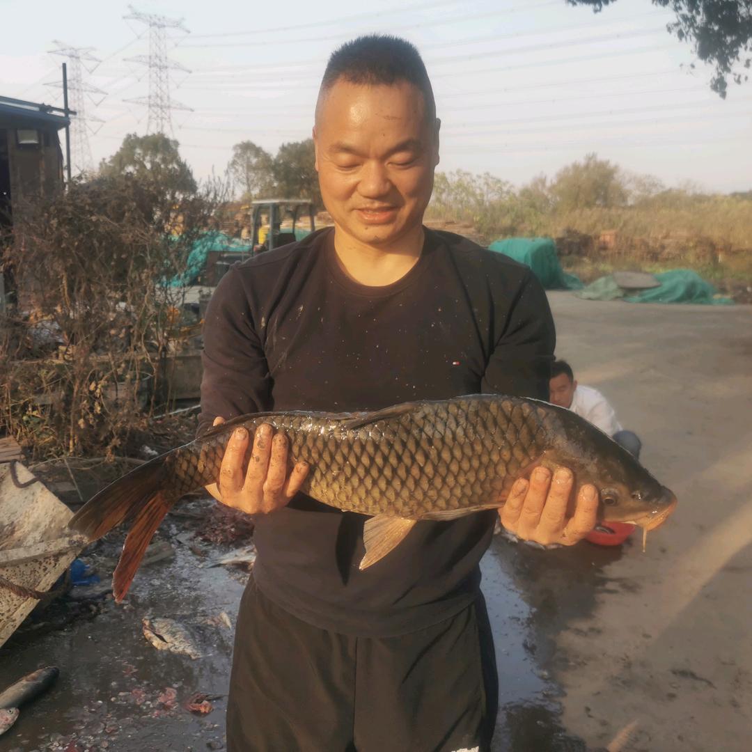阿宝
