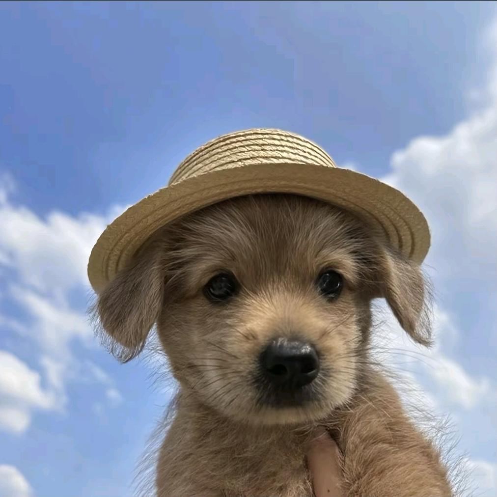 我从18楼闪击水泥地