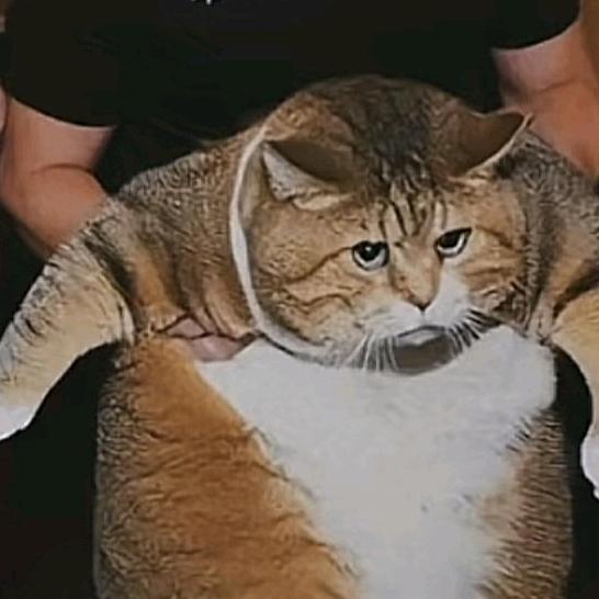 冰糖葫卢