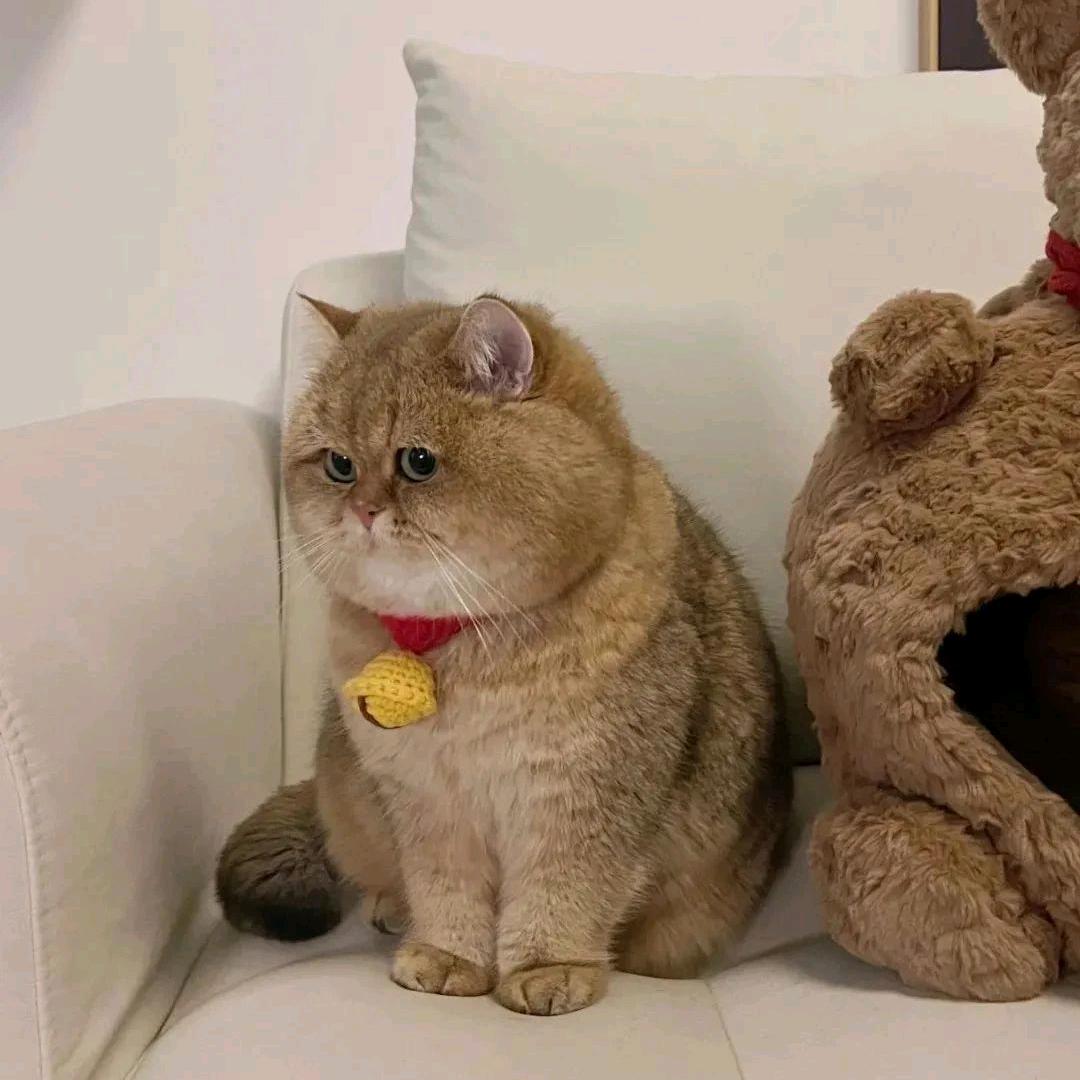 看！灰机