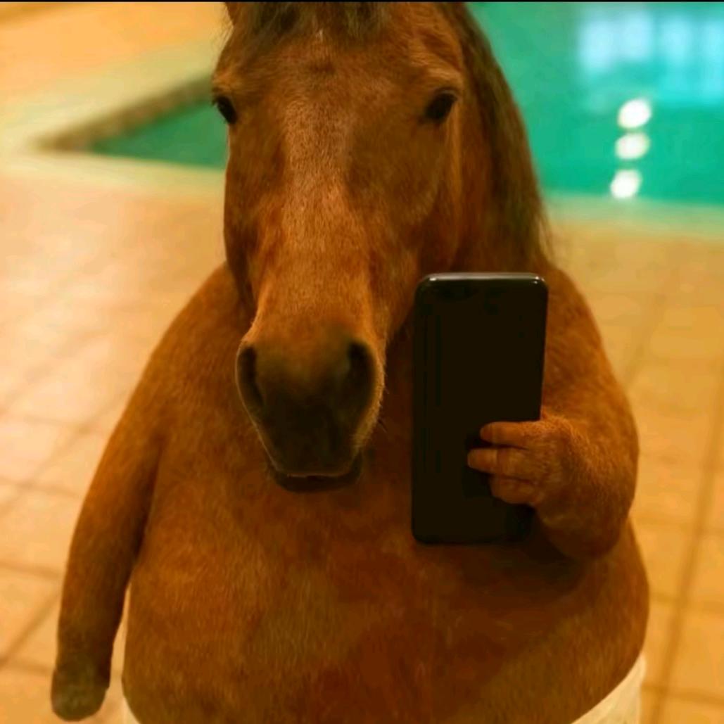 世界上最爱我的人