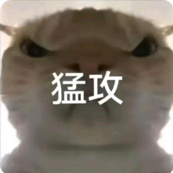 泉奈(三角洲行动)