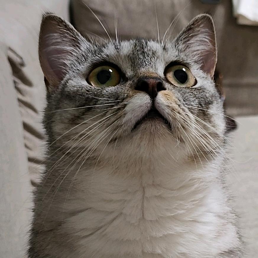 豆苗不知道哦～