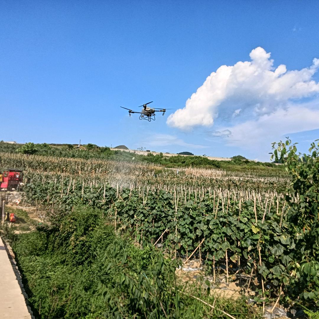 关岭顾陈农业专业合作社小陈飞防