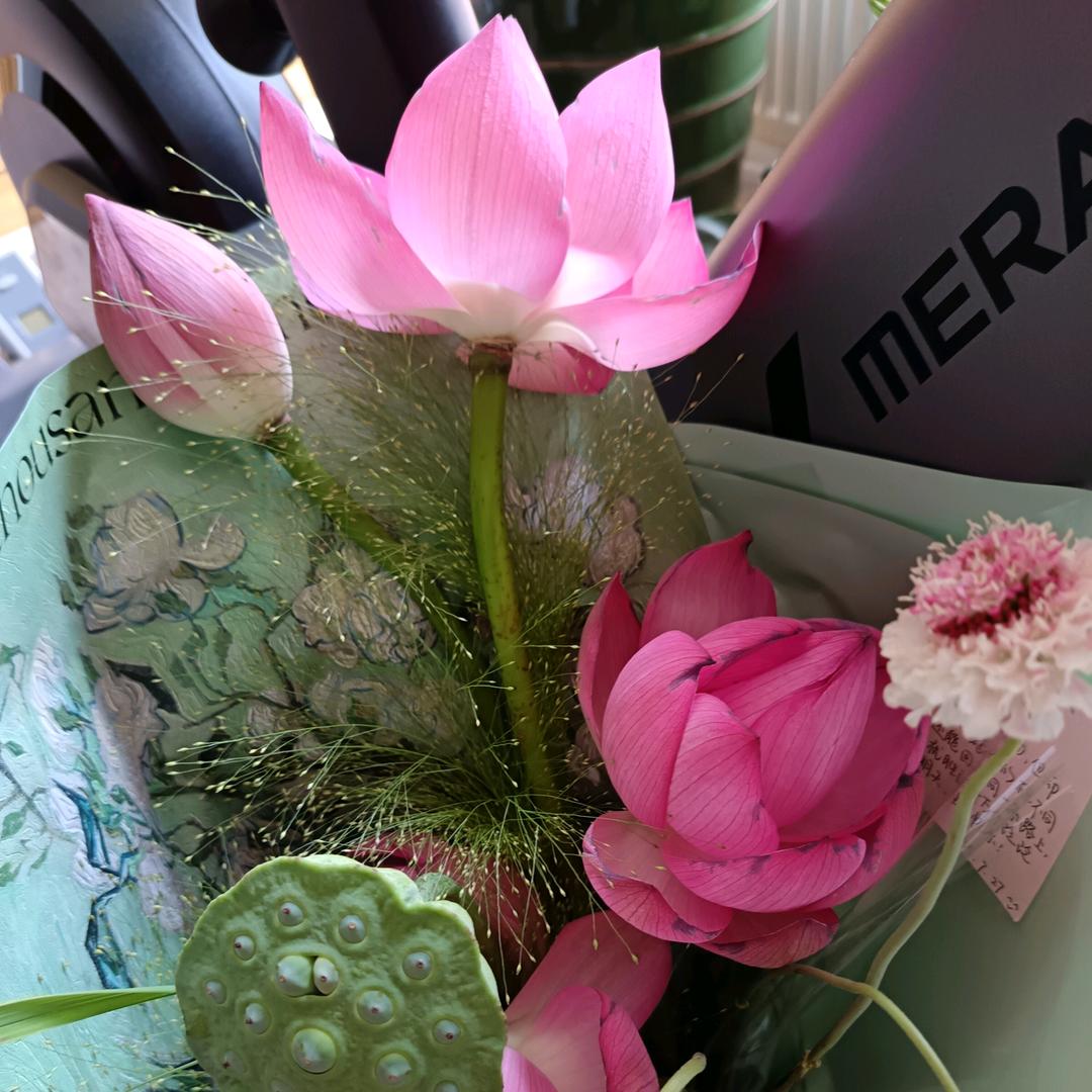 🌸钱包廋了🌸
