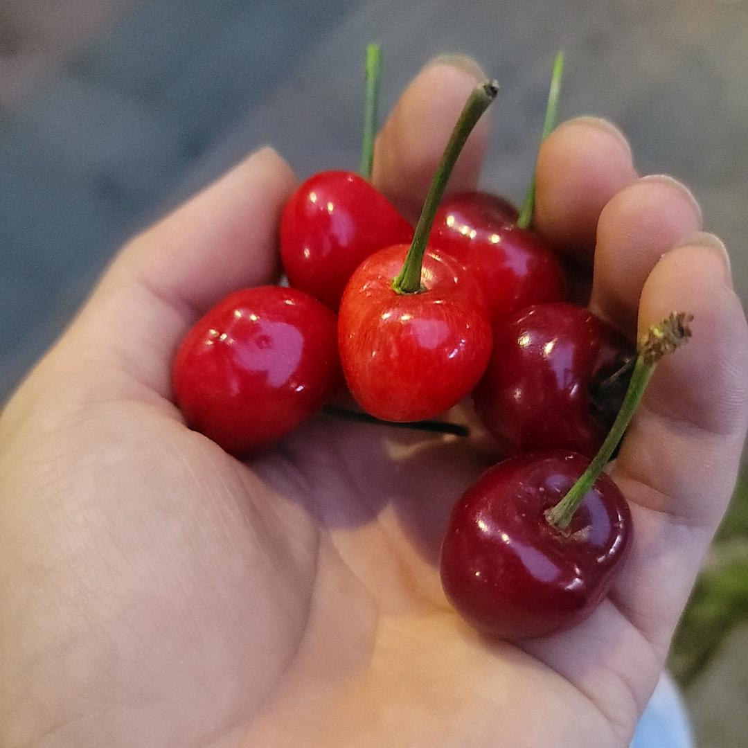 哥在痴想