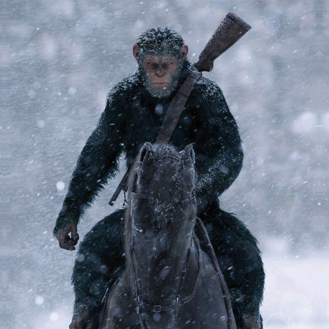 数学教书匠才哥