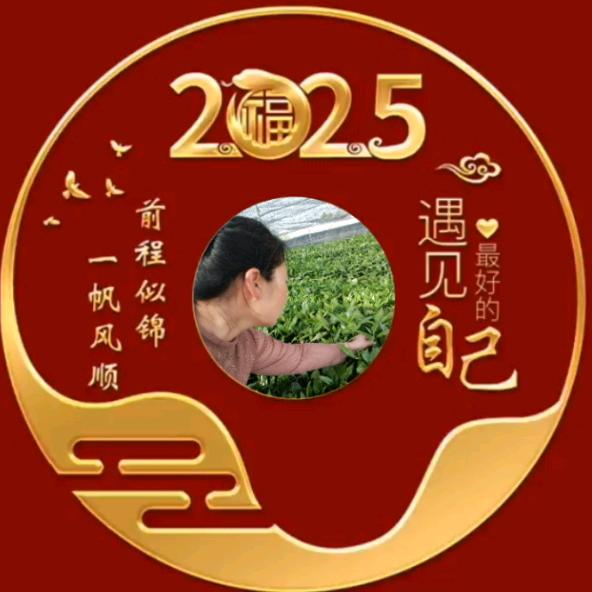 Cz兴诚苗木