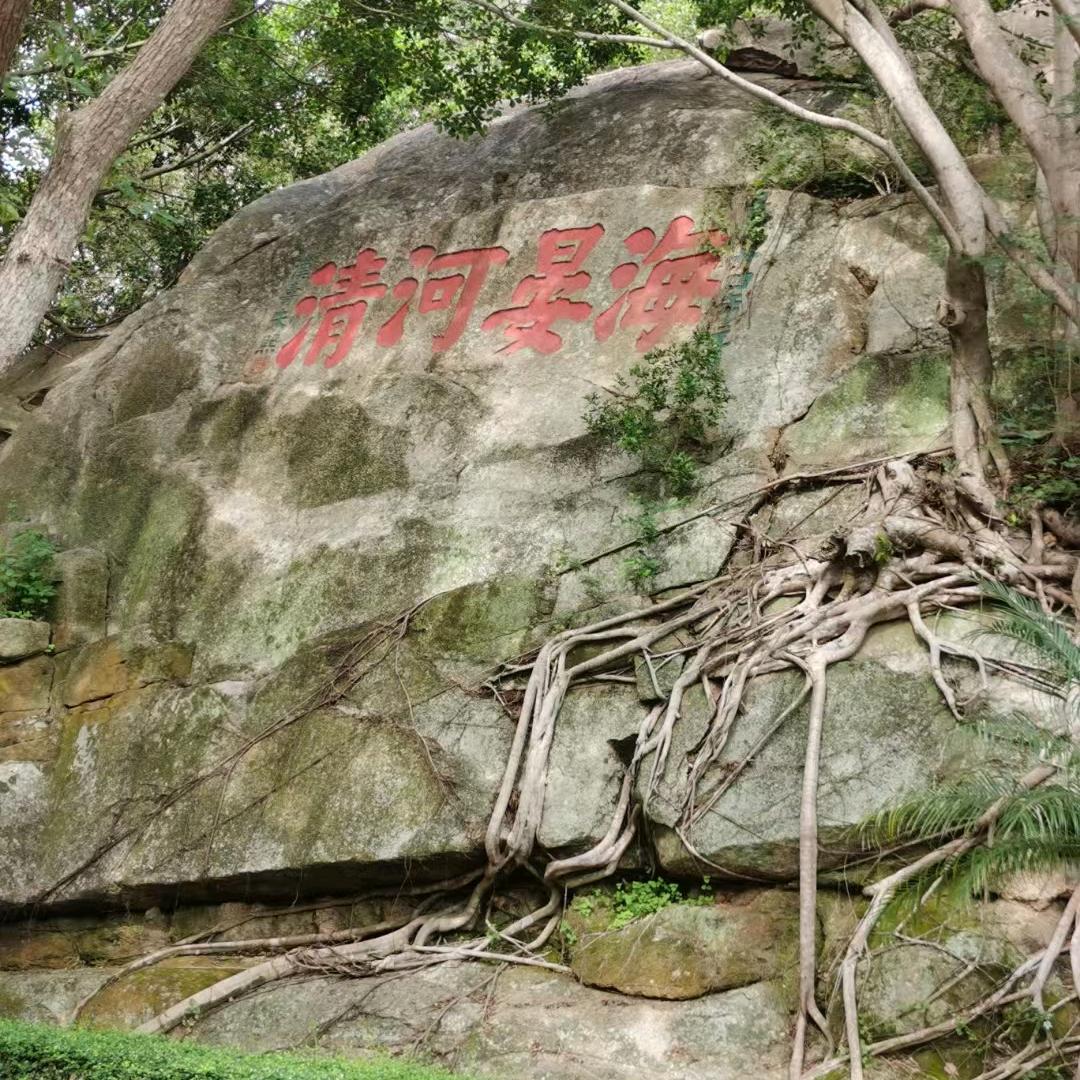 轻舟未过
