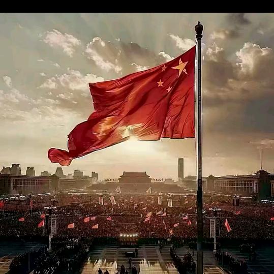 暴躁的狒狒车主