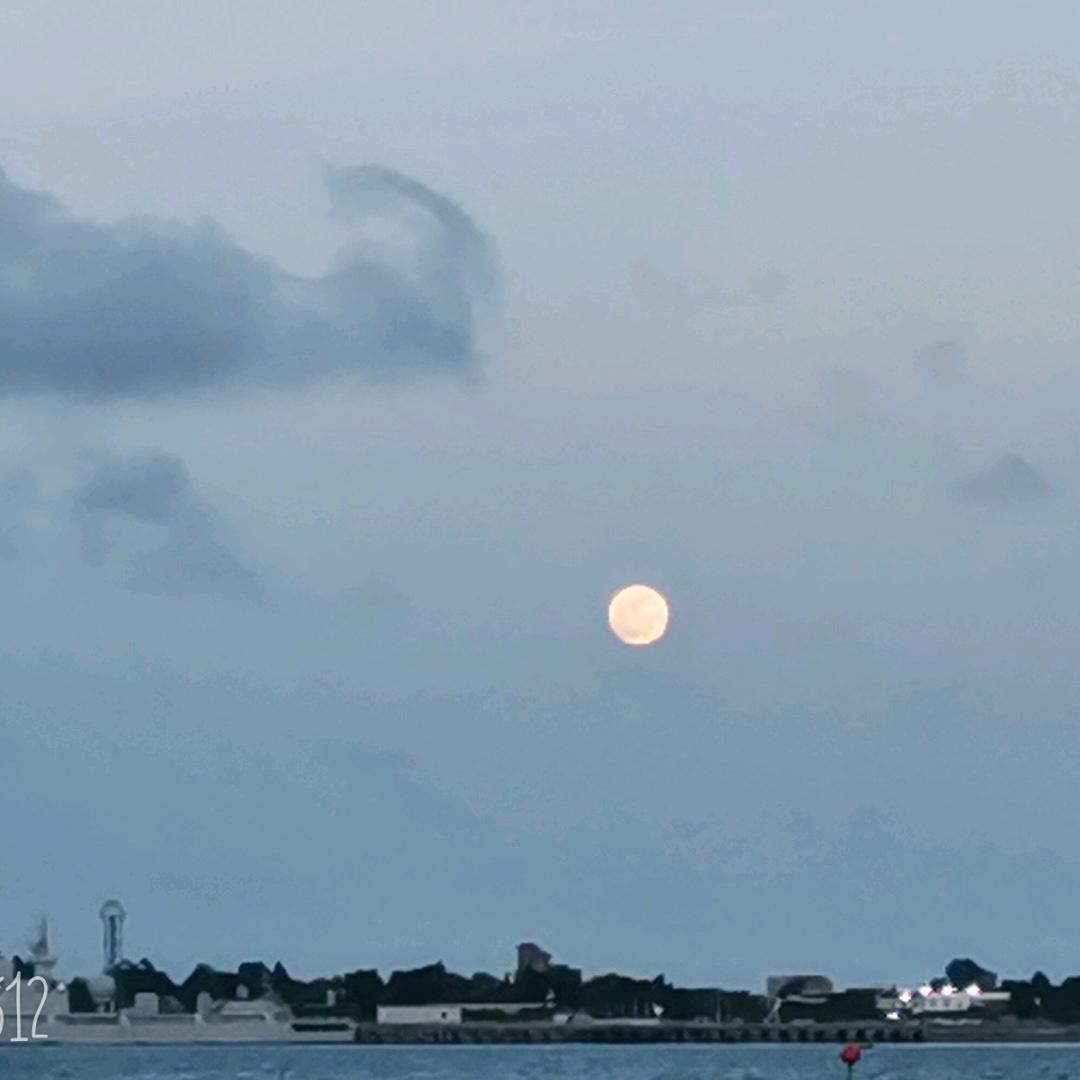 💞ℒᎭℯ⃝余生ᩚ爱ᮨ໌້自已ꦿ࿐