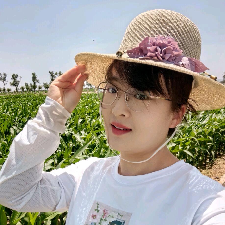 苦菊小姐姐