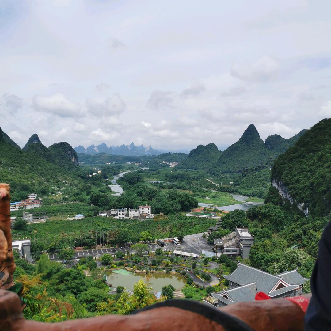 天涯何处无芳草