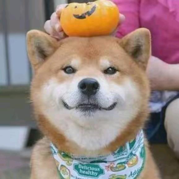 笑一笑，十年少