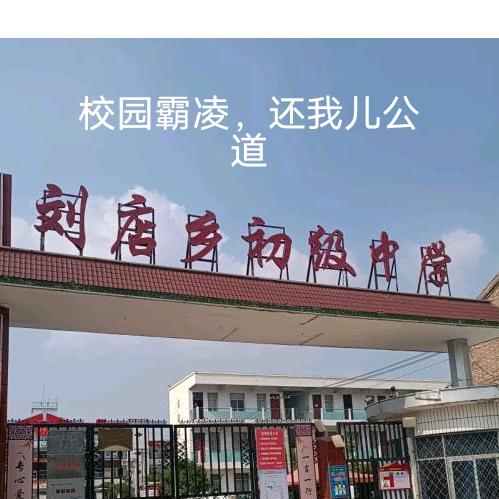 商丘市刘店乡重伤案学生爸爸