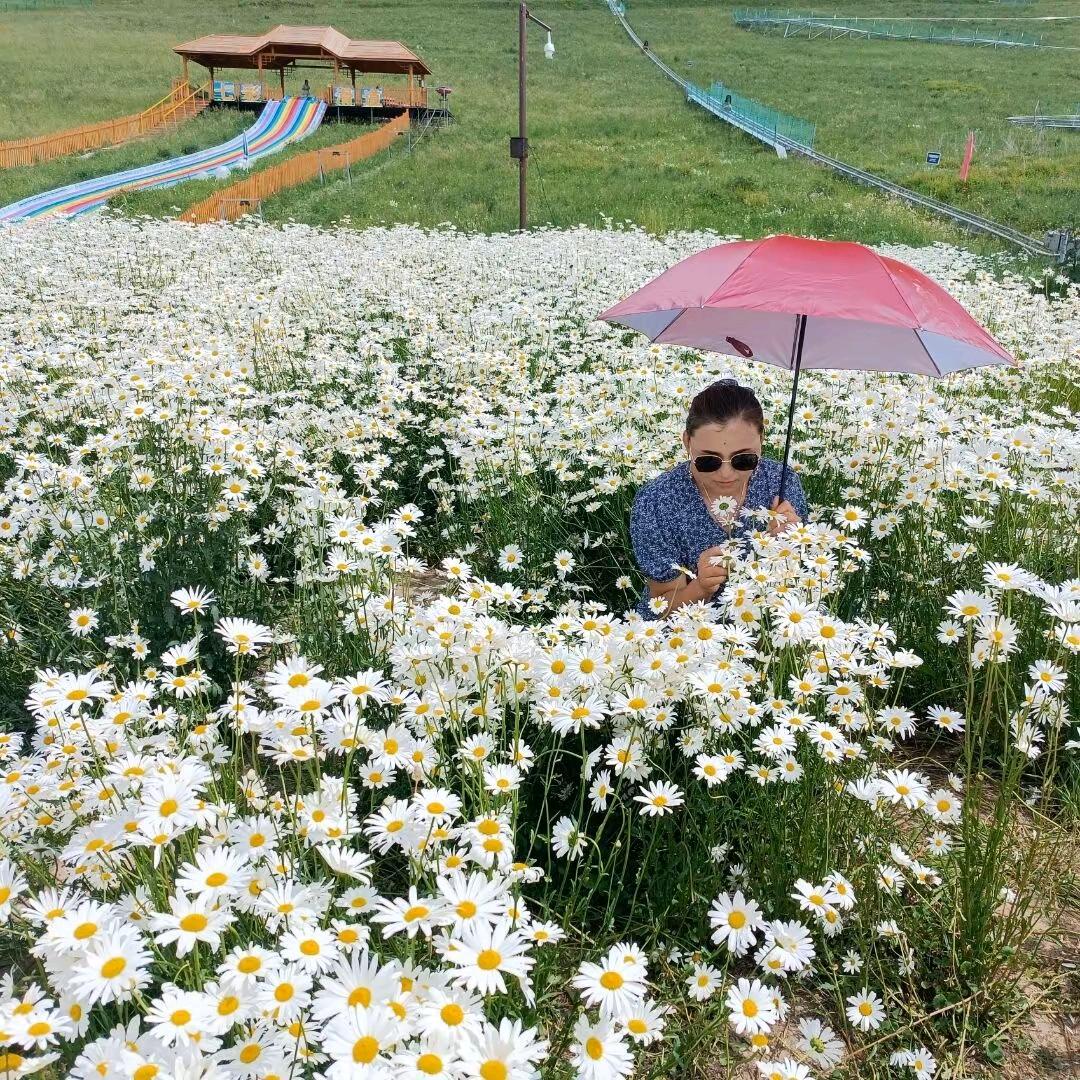 向日葵🌼
