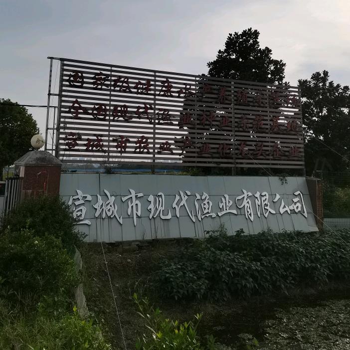 宣城市现代渔业
