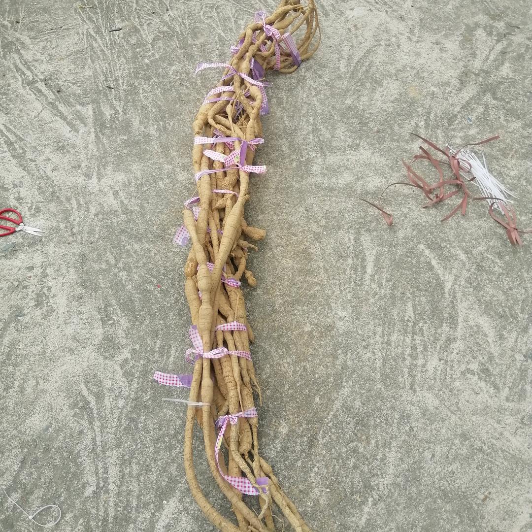 24427348062