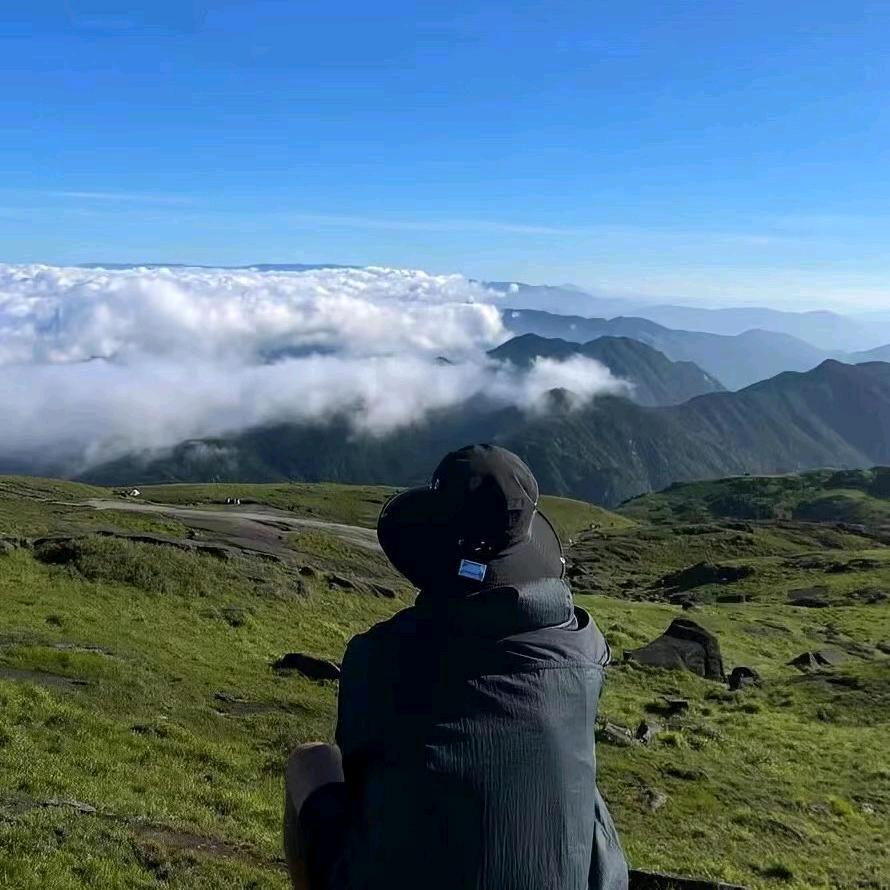 一匹黑马、
