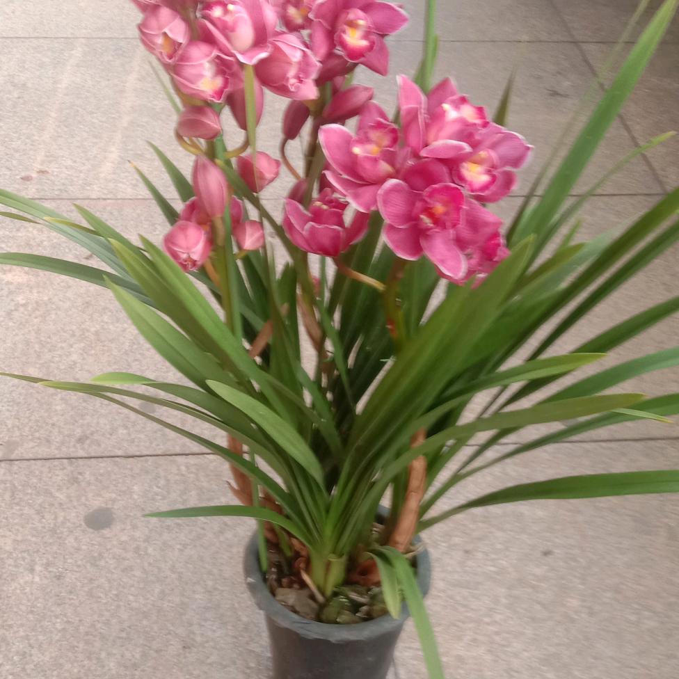 顺其自然