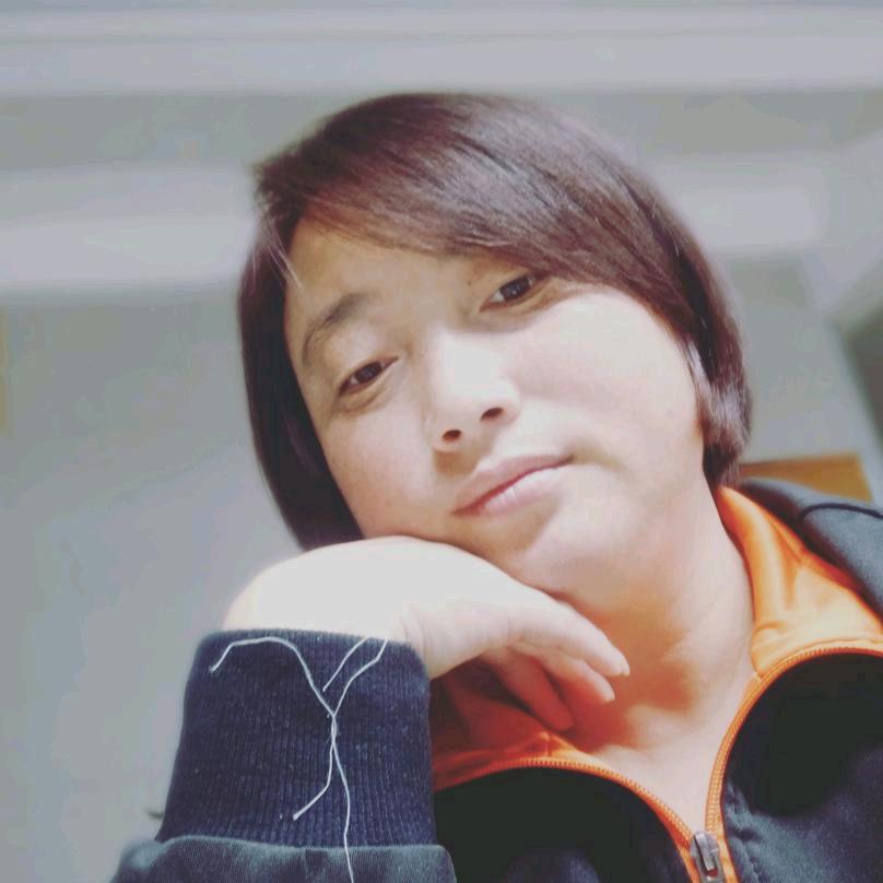 会飞的鱼
