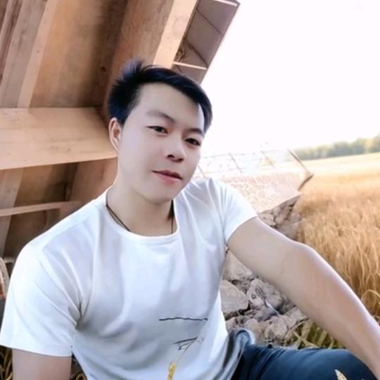 梧🍀桐🍀树🌳
