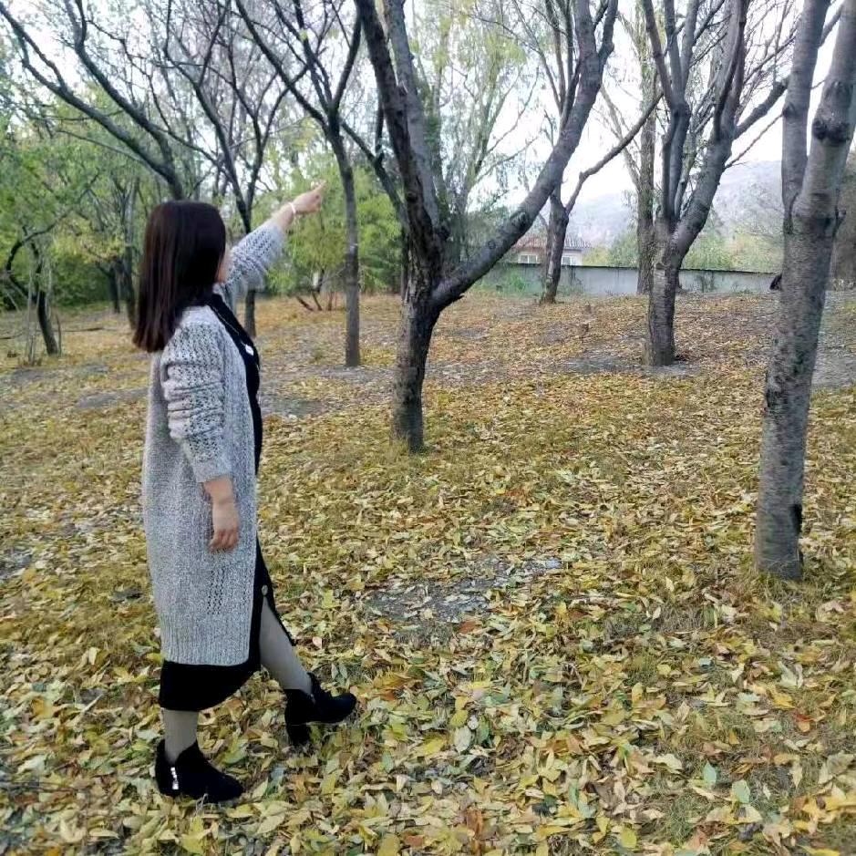 安静🍂