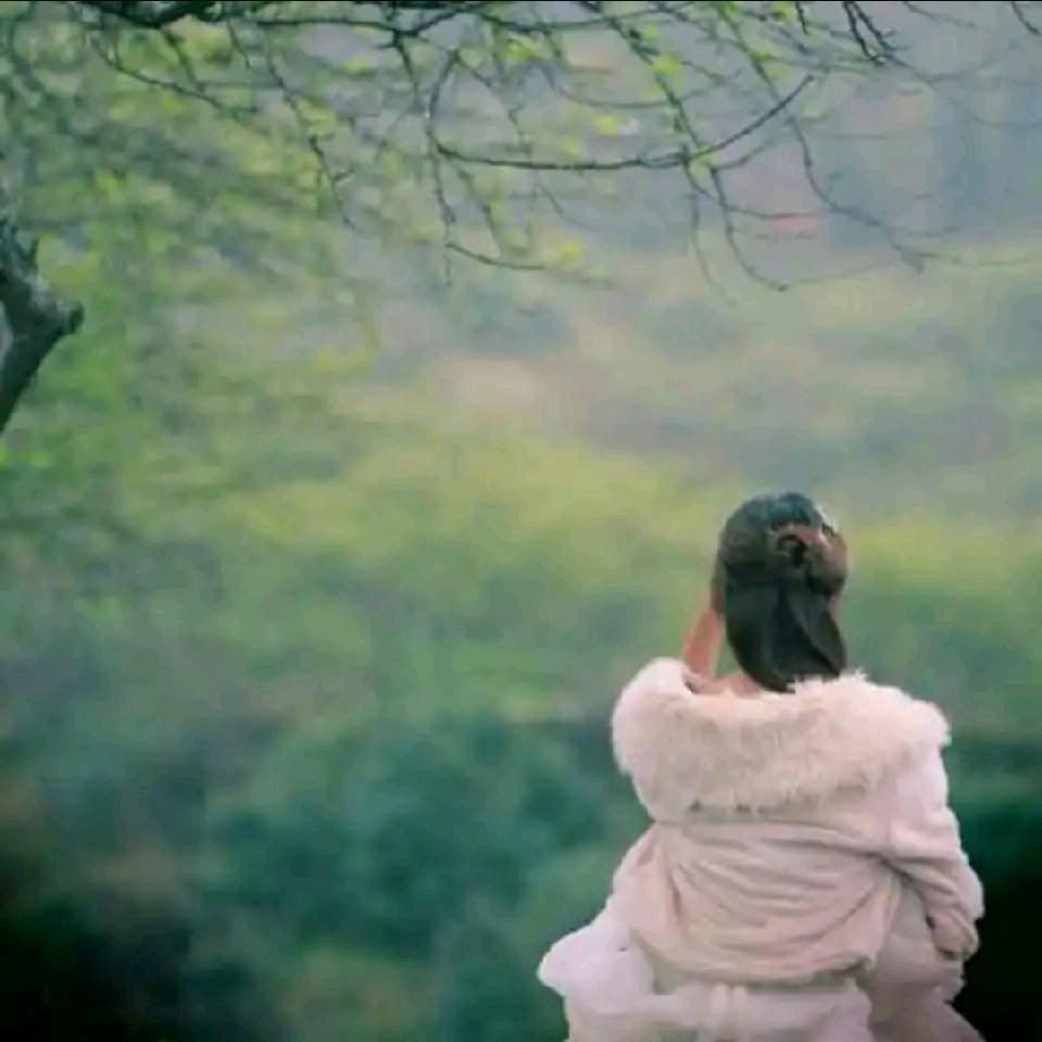 🍀晴语🌸🌸