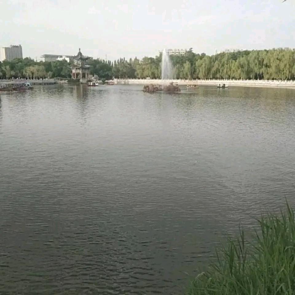 顺其自然