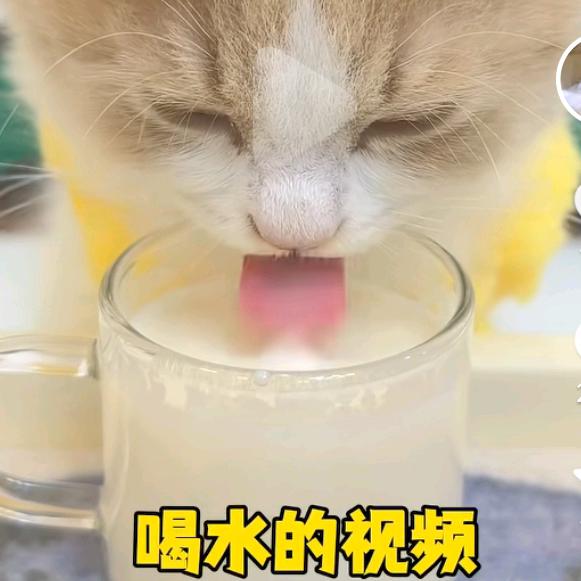 迷你玩家炫雷（反MC）