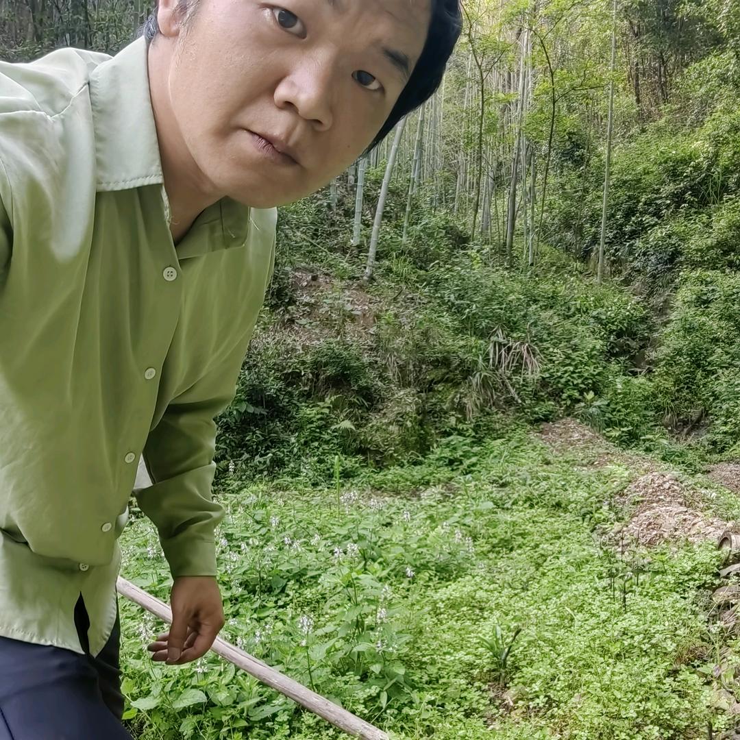 呱老六去理财