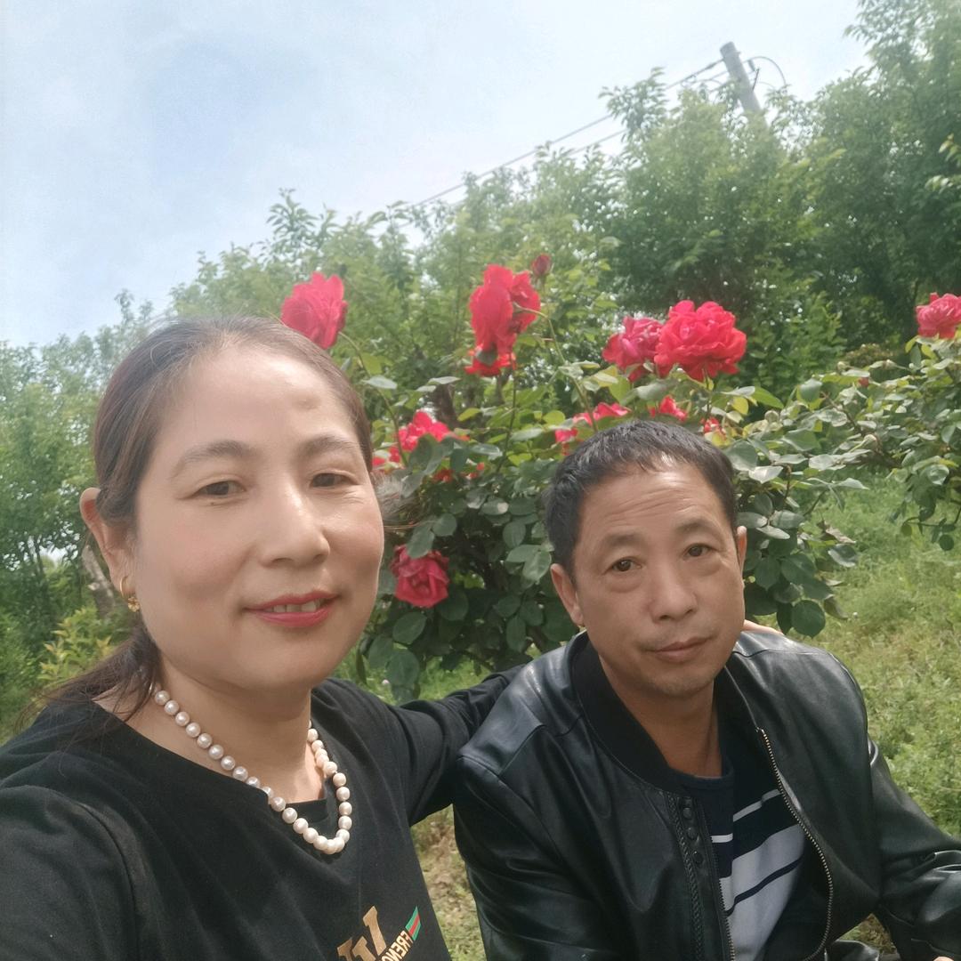 徐家三千金